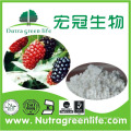 Herbal Extract Mulberry Extract/Plant Extract Mulberry Extract
